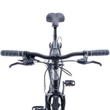 Brooklyn Roebling 9 speed